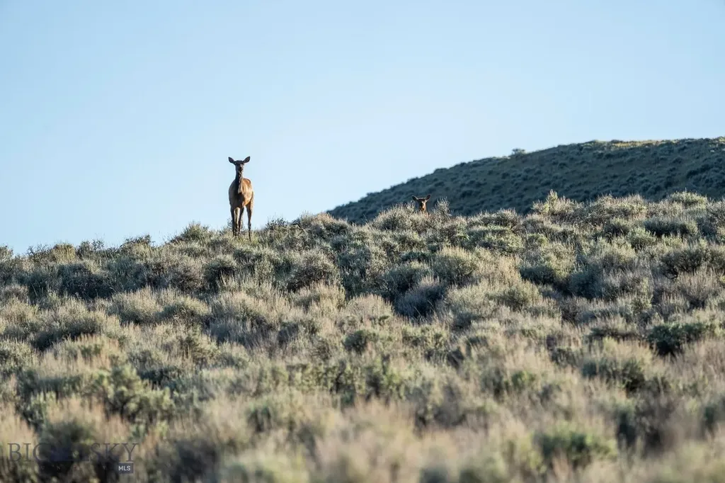 70 Shy Road Wilsall MT 59086