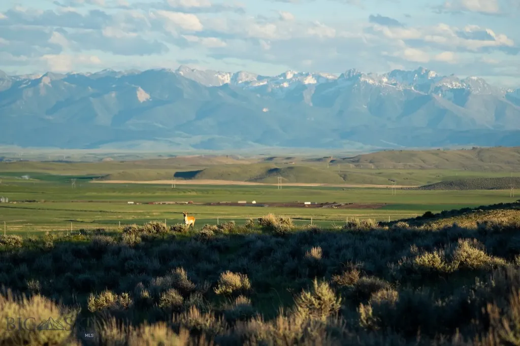 70 Shy Road Wilsall MT 59086