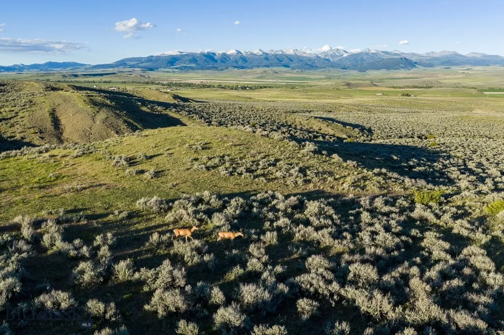70 Shy Road Wilsall MT 59086