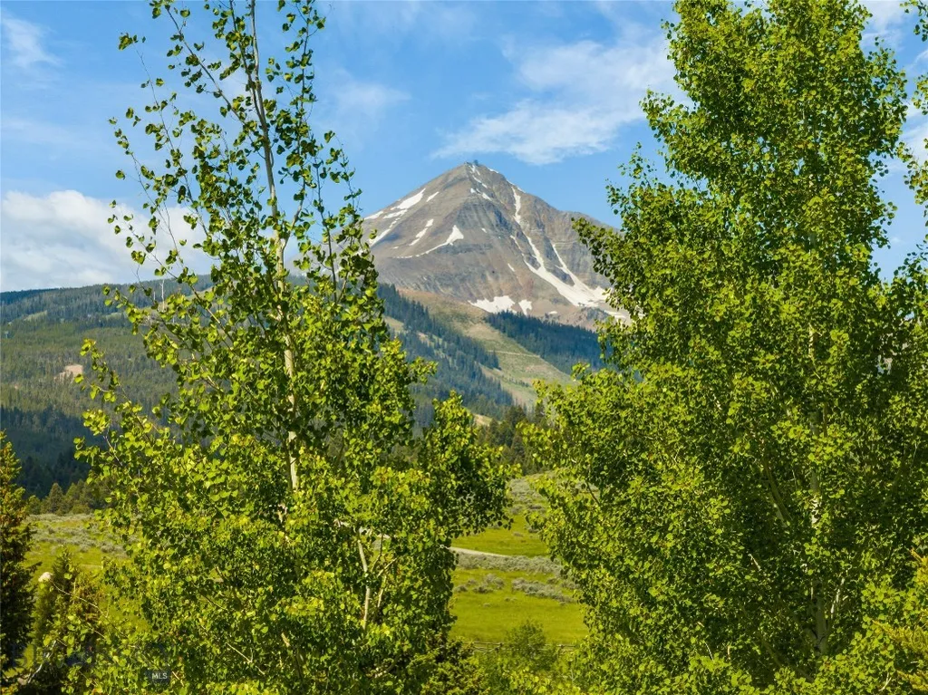 2640 Rain In Face Road Big Sky MT 59716