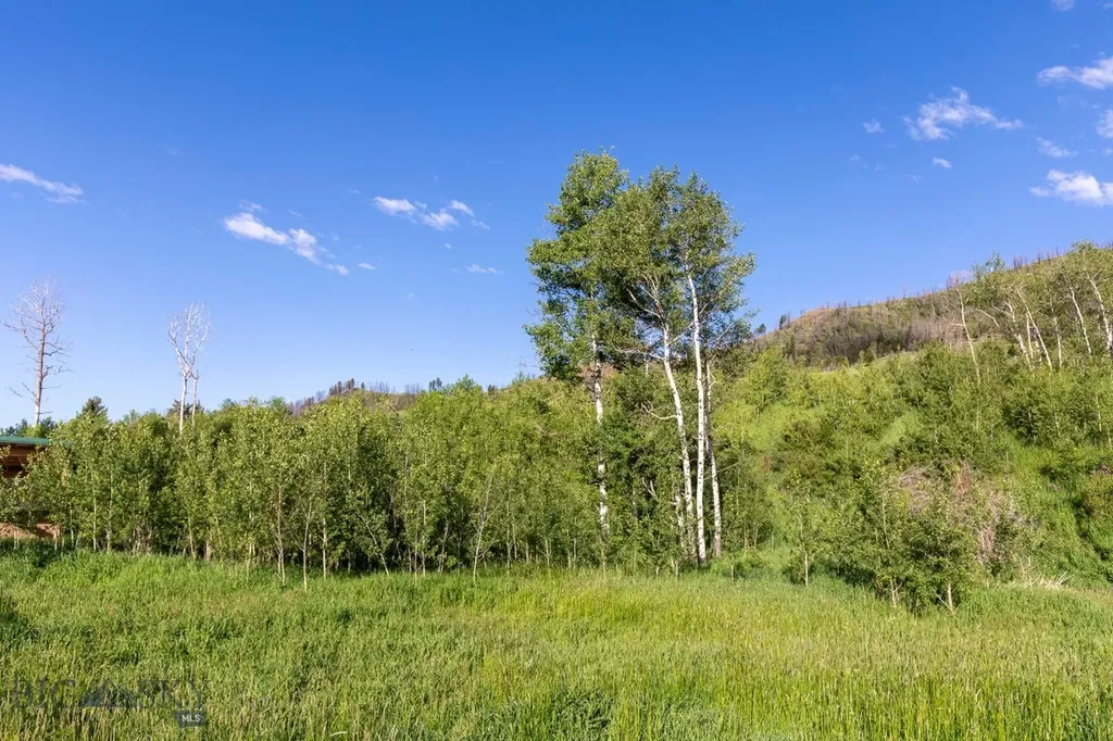 10421 Bridger Canyon Road Bozeman MT 59715