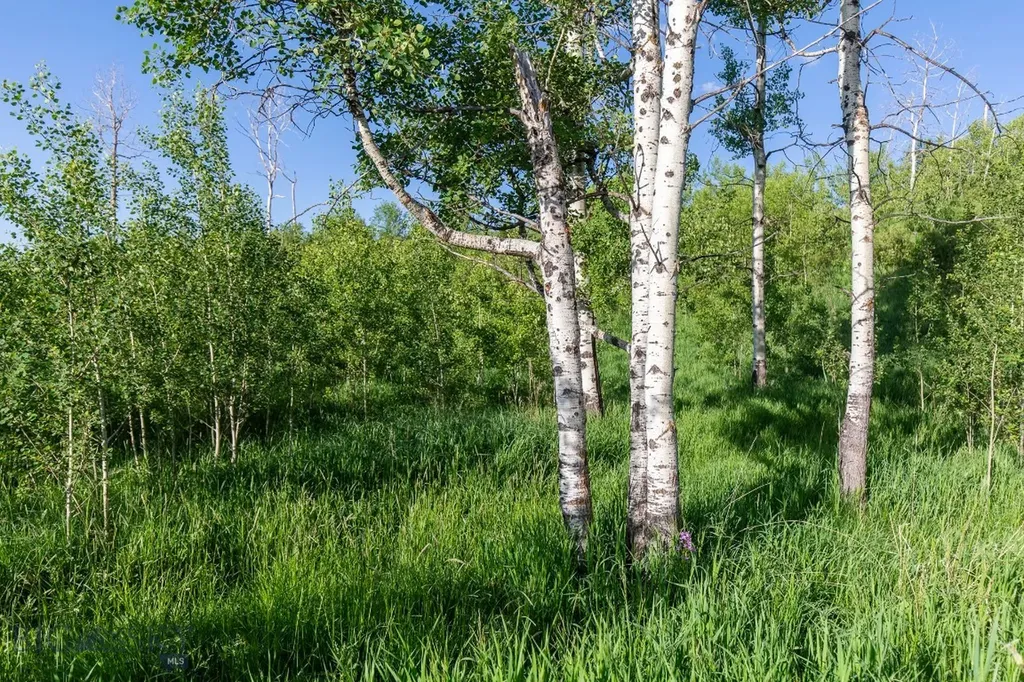 10421 Bridger Canyon Road Bozeman MT 59715