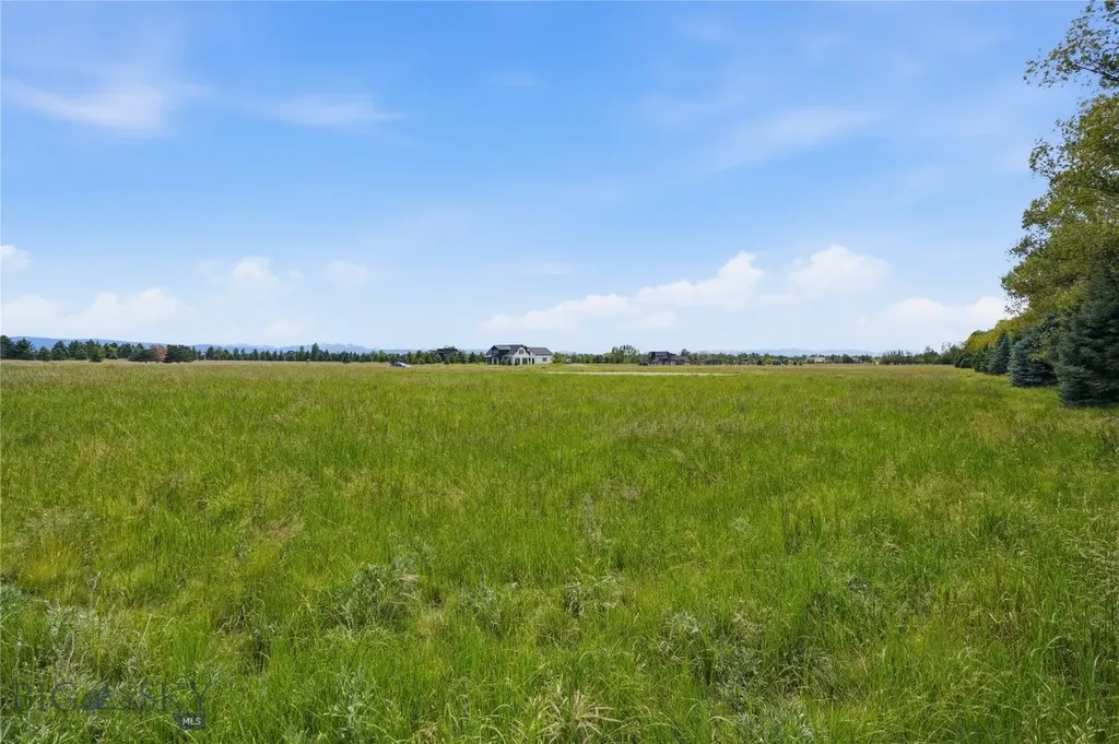 Tbd Wavy Leaf Way Bozeman MT 59718