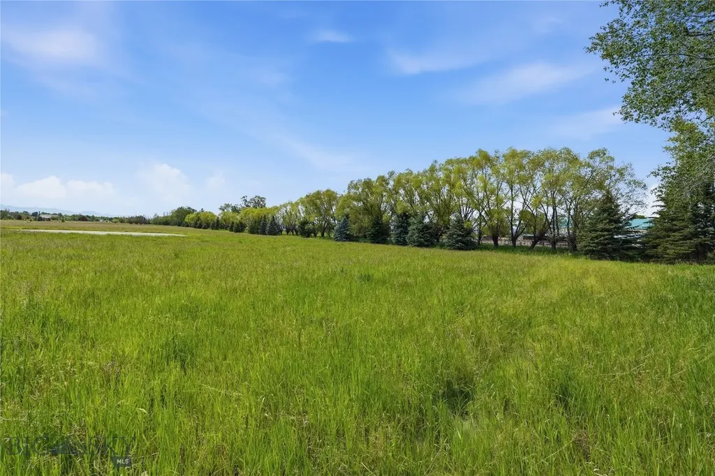 Tbd Wavy Leaf Way Bozeman MT 59718