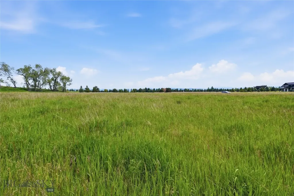 Tbd Wavy Leaf Way Bozeman MT 59718