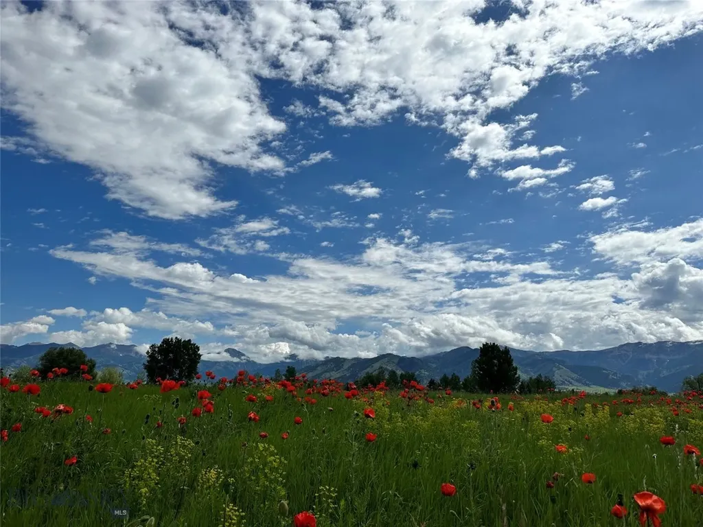 Tbd Wavy Leaf Way Bozeman MT 59718
