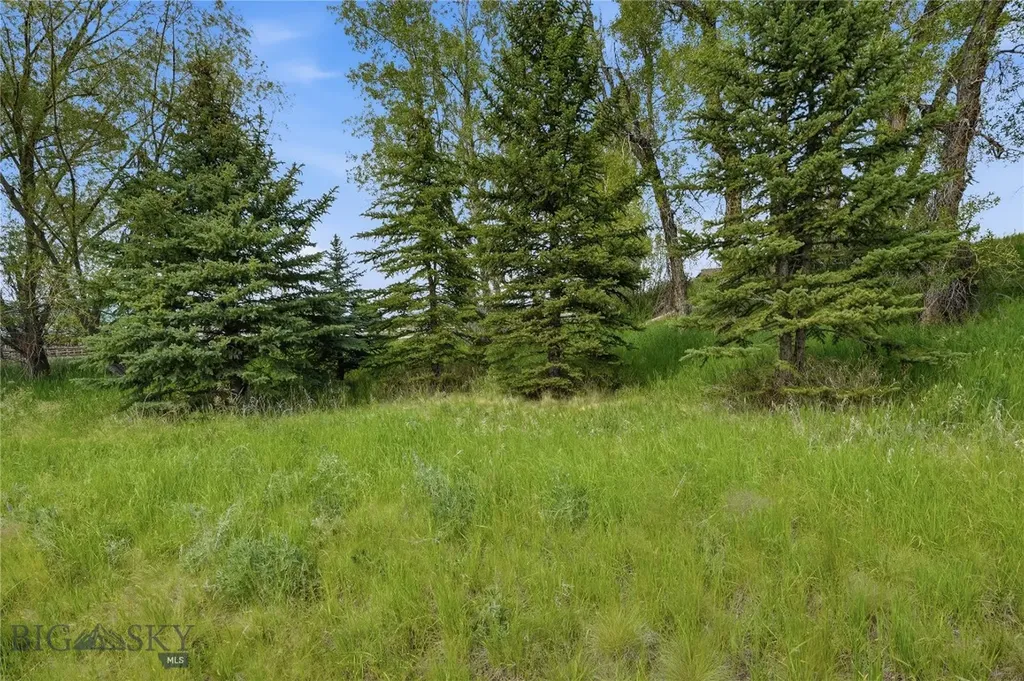 Tbd Wavy Leaf Way Bozeman MT 59718