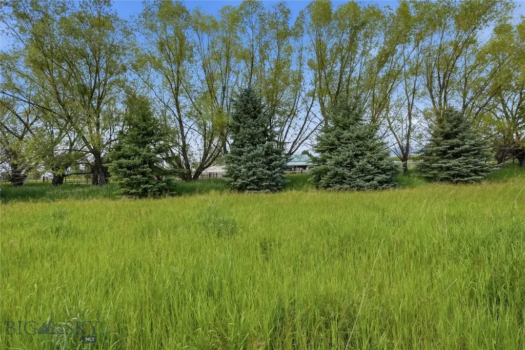 Tbd Wavy Leaf Way Bozeman MT 59718