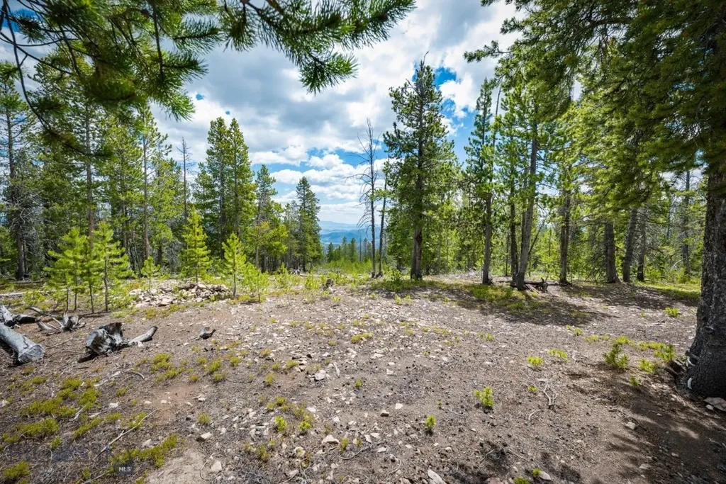 Nhn Rosa Trail Anaconda MT 59711