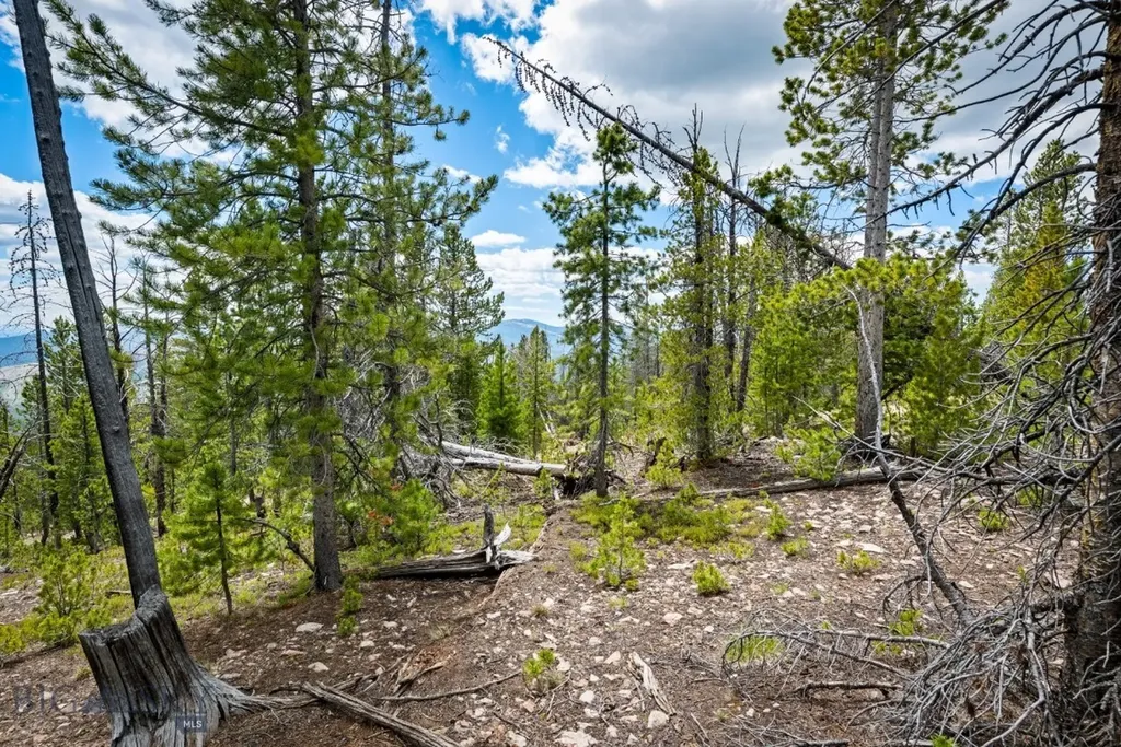 Nhn Rosa Trail Anaconda MT 59711
