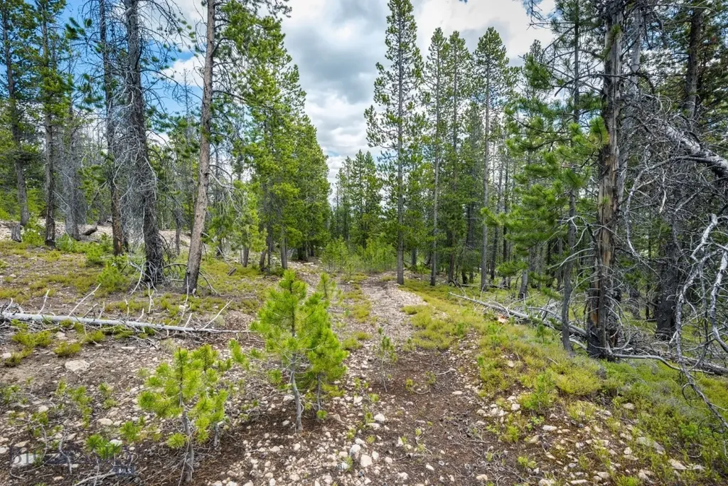 Nhn Rosa Trail Anaconda MT 59711
