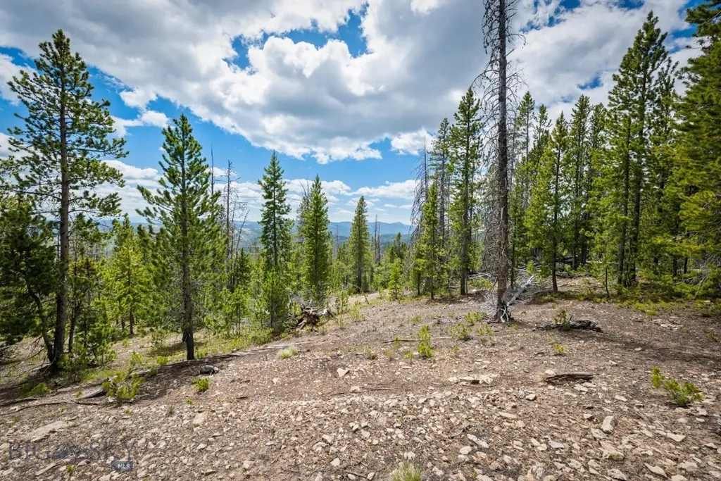 Nhn Rosa Trail Anaconda MT 59711