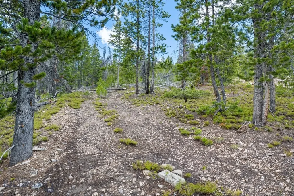 Nhn Rosa Trail Anaconda MT 59711