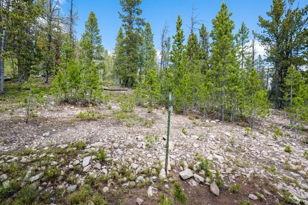 Nhn Rosa Trail Anaconda MT 59711