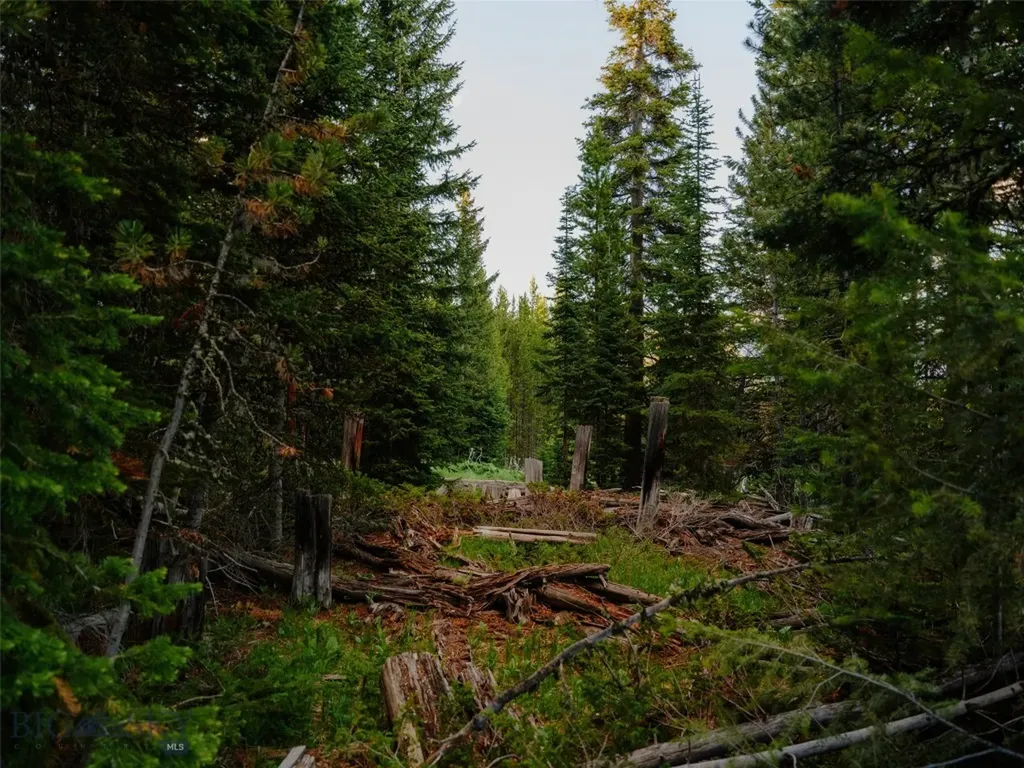 Lot 30 Eagle View Trail Big Sky MT 59716