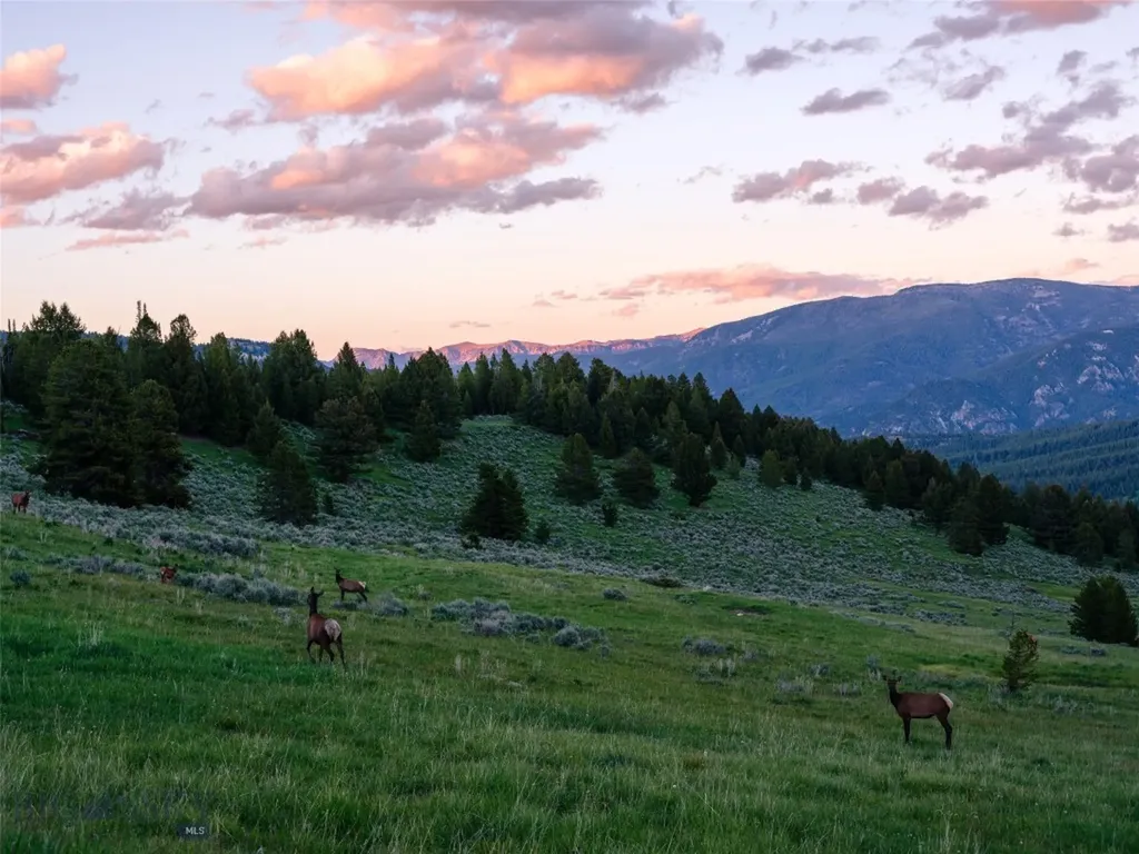 Lot 30 Eagle View Trail Big Sky MT 59716