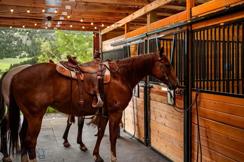 4800 Meadow Lane Bozeman MT 59715