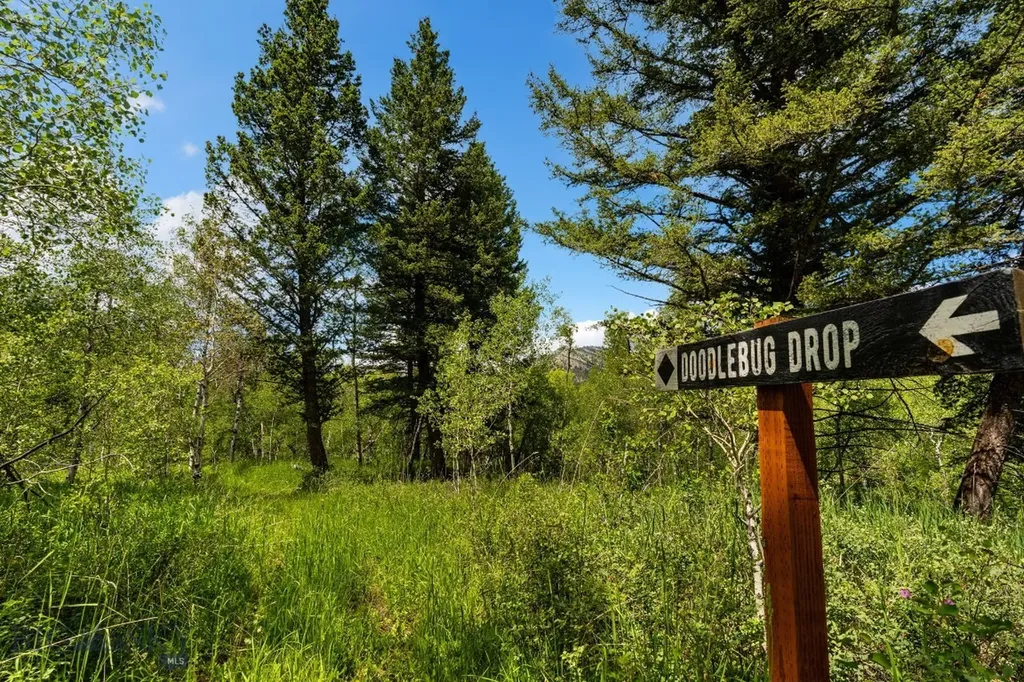 4800 Meadow Lane Bozeman MT 59715