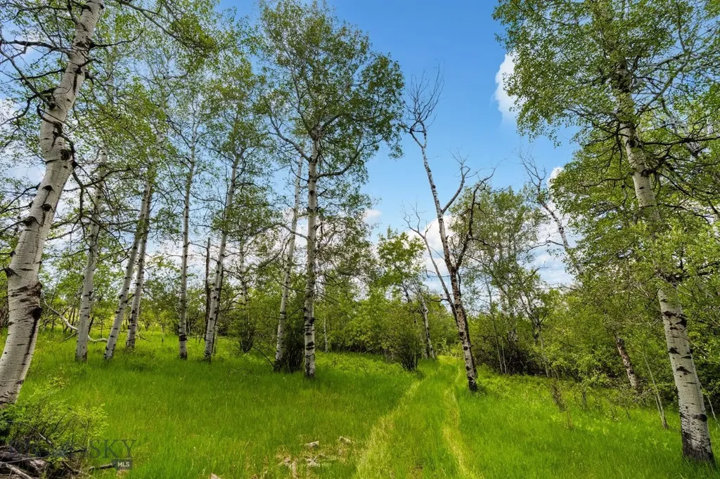 4800 Meadow Lane Bozeman MT 59715