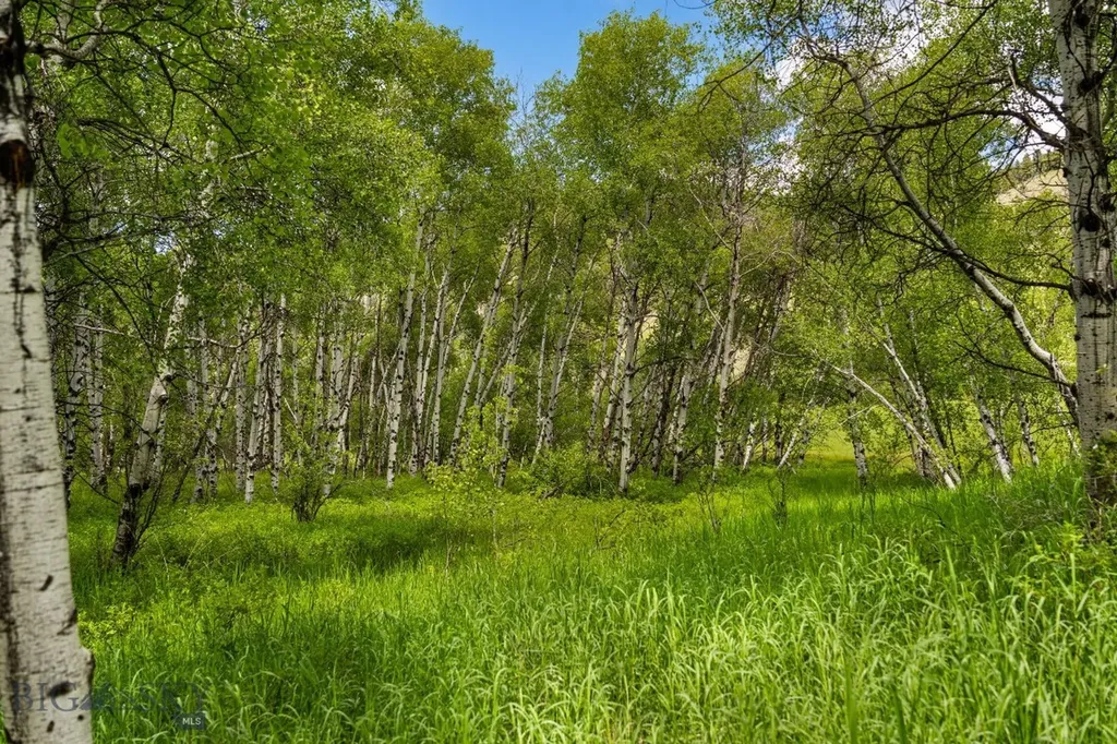 4800 Meadow Lane Bozeman MT 59715