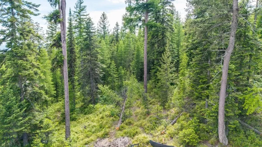 211 N Beargrass Circle Whitefish MT 59937