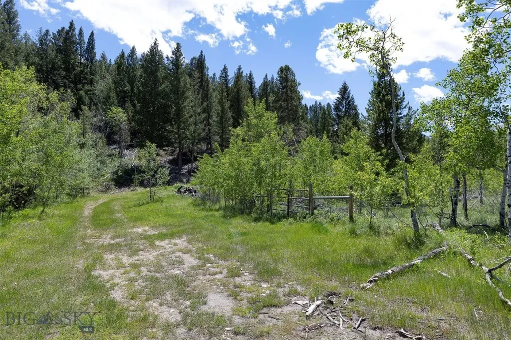 373 Ravndal Road Anaconda MT 59711