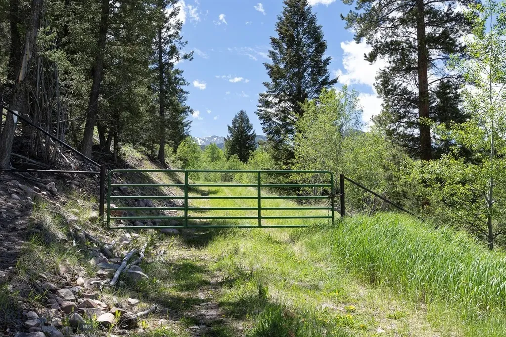 373 Ravndal Road Anaconda MT 59711