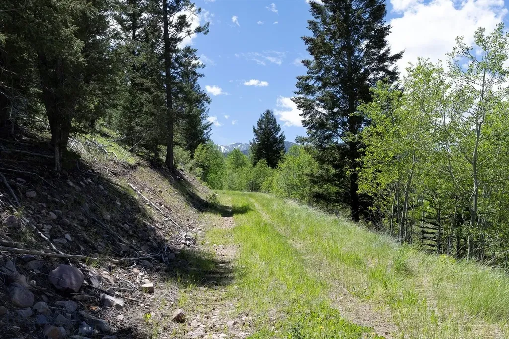 373 Ravndal Road Anaconda MT 59711