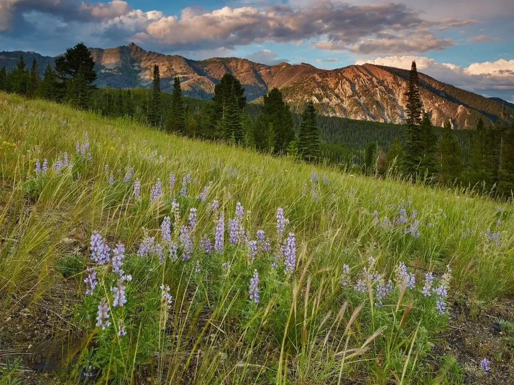 1320 Old Toby Road Big Sky MT 59716
