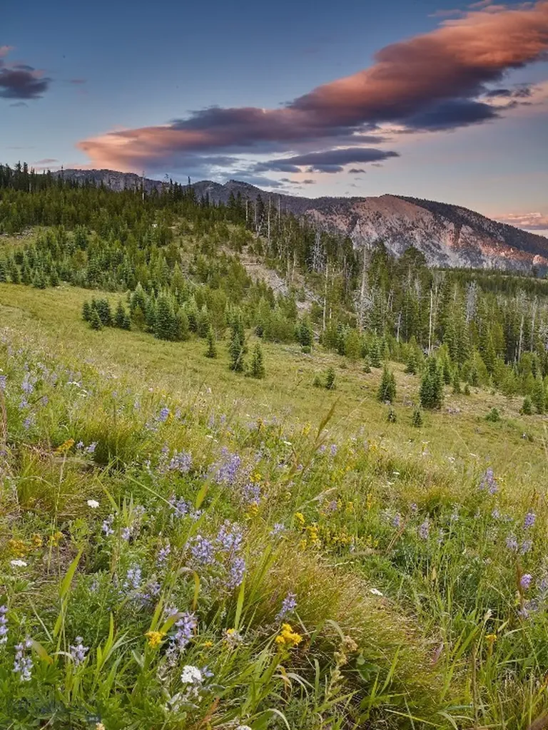 1320 Old Toby Road Big Sky MT 59716