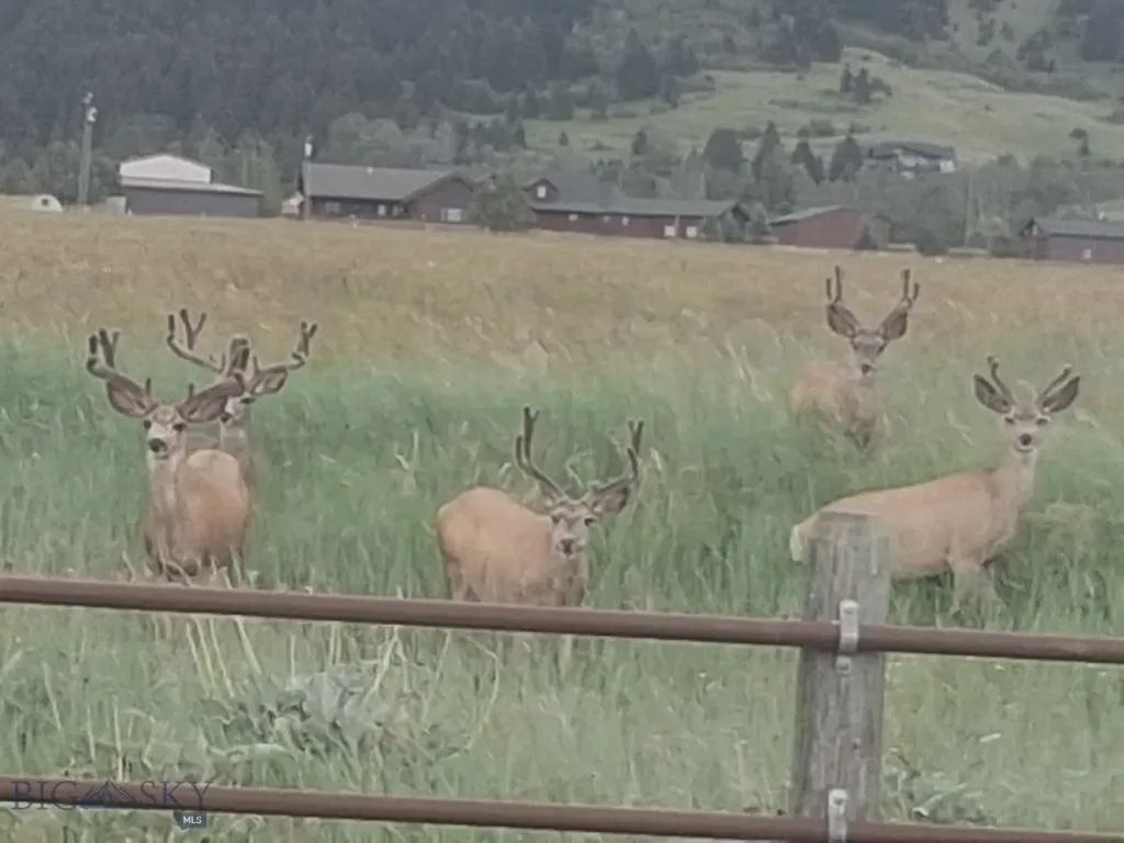 5200 Bostwick Road Bozeman MT 59715