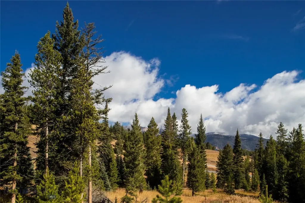 Lot 113 Crow Point Road Big Sky MT 59716