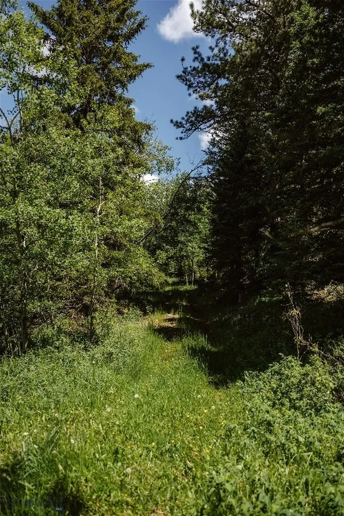 Lewistown MT 59457