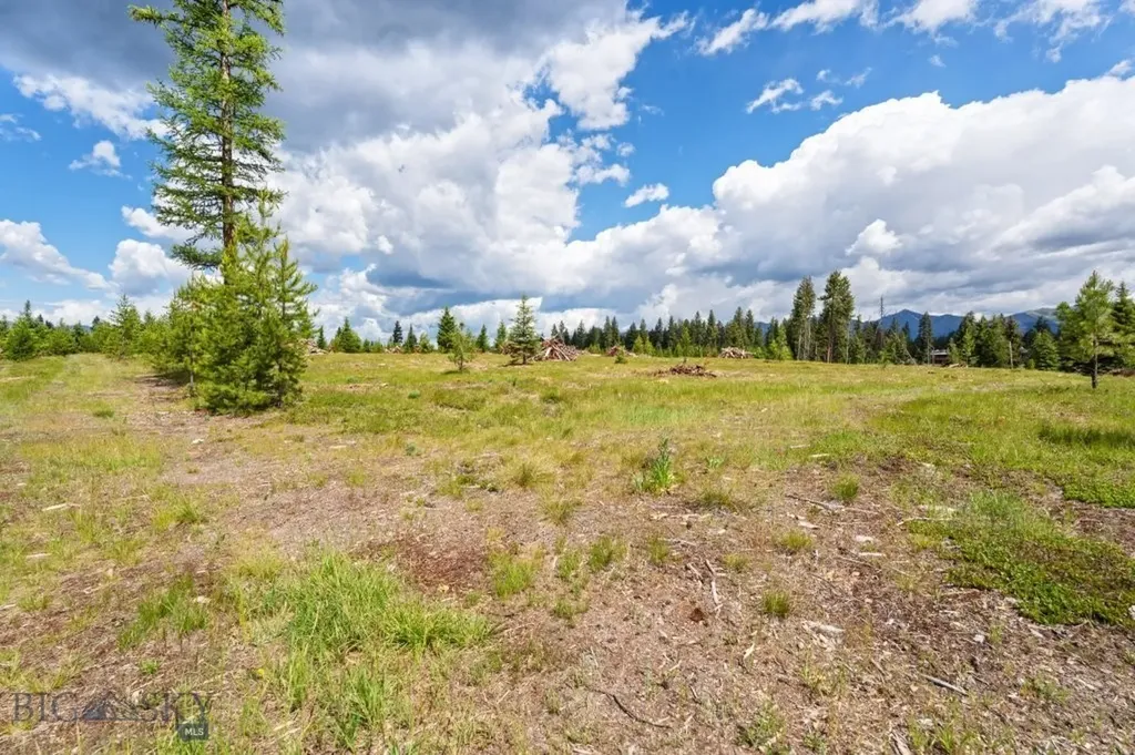 281 Daisy Lane Seeley Lake MT 59868