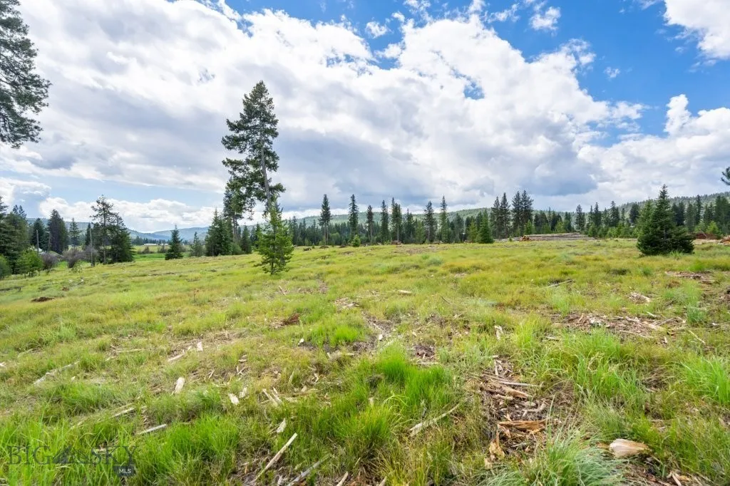 281 Daisy Lane Seeley Lake MT 59868