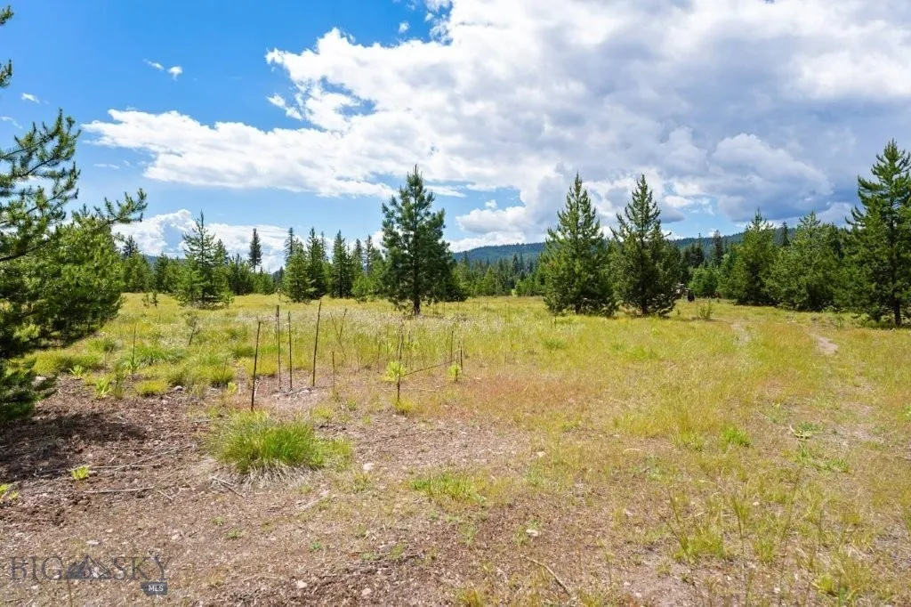 281 Daisy Lane Seeley Lake MT 59868