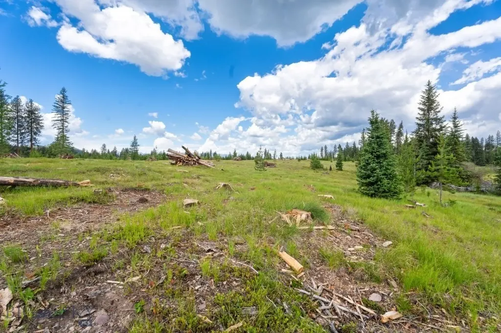 281 Daisy Lane Seeley Lake MT 59868