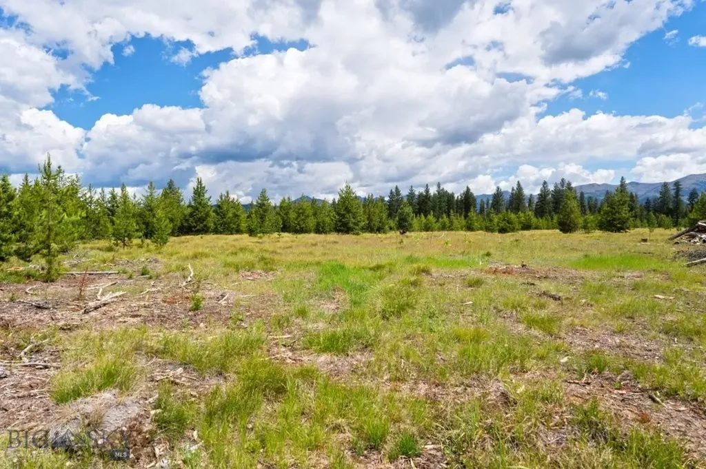281 Daisy Lane Seeley Lake MT 59868
