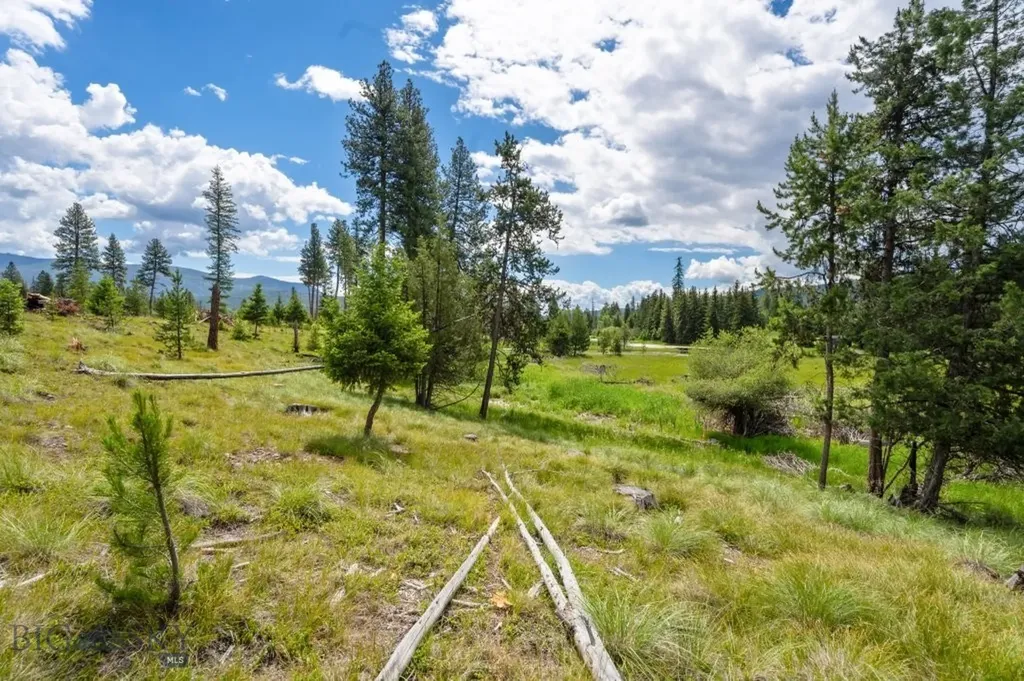 281 Daisy Lane Seeley Lake MT 59868