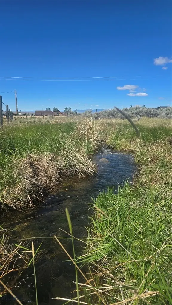 Tbd Elser Lane Sheridan MT 59749
