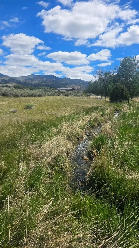 Tbd Elser Lane Sheridan MT 59749