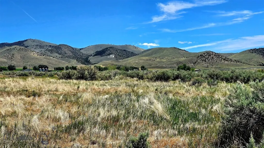 Tbd Elser Lane Sheridan MT 59749