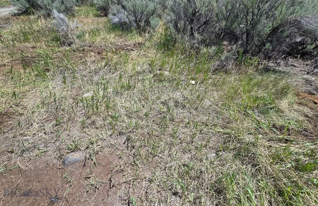 Tbd Elser Lane Sheridan MT 59749