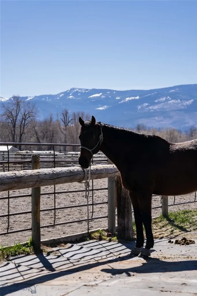 770 Mcreynolds Road Bozeman MT 59718