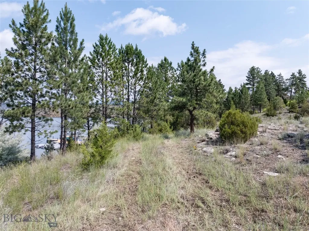 5820 Dana's Point Helena MT 59602