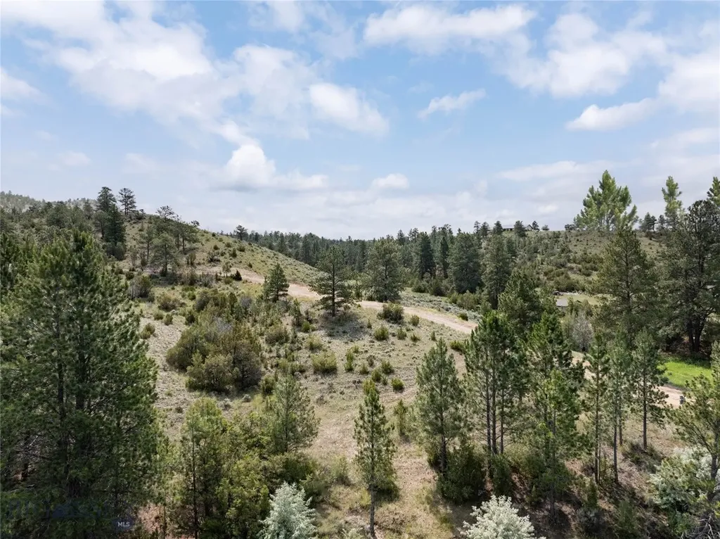 5820 Dana's Point Helena MT 59602