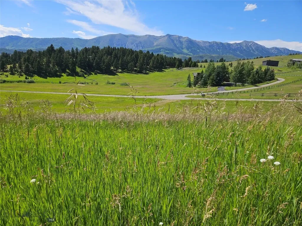 6008 Skyline Bozeman MT 59715
