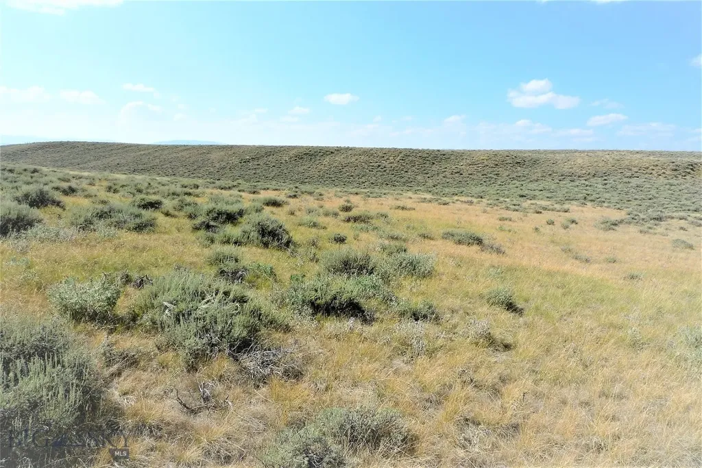 Tbd Joanie Drive Wisdom MT 59761