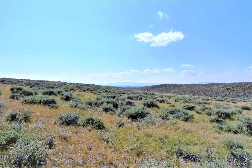 Tbd Joanie Drive Wisdom MT 59761