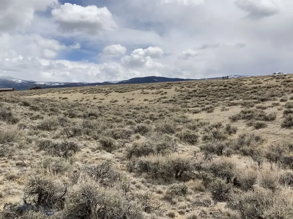 Tbd Joanie Drive Wisdom MT 59761